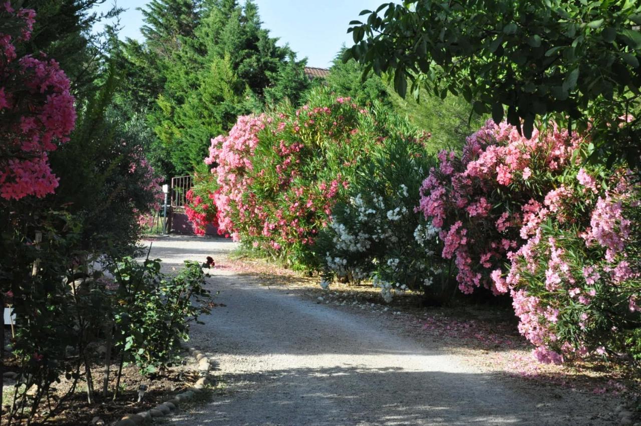 Bed and Breakfast La Ferme De Tonton Jules Et Mame Julia Entraigues-sur-la-Sorgue Екстер'єр фото